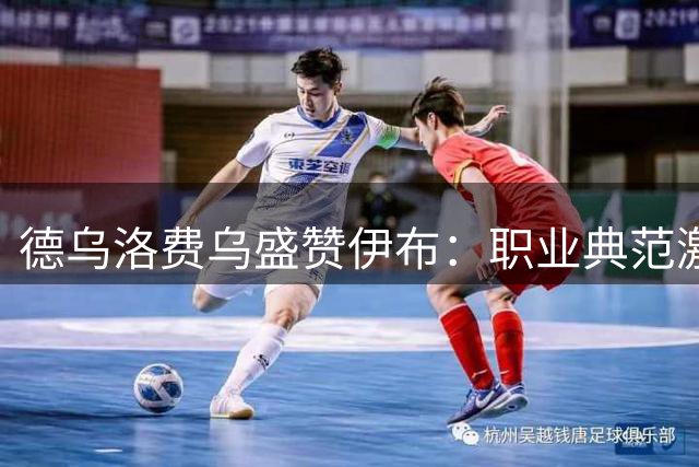 德乌洛费乌盛赞伊布：职业典范激励年轻球员